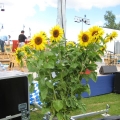 image img_055-small-jpg